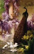 Eugene Bidau A Peacock and Doves in a Garden oil painting